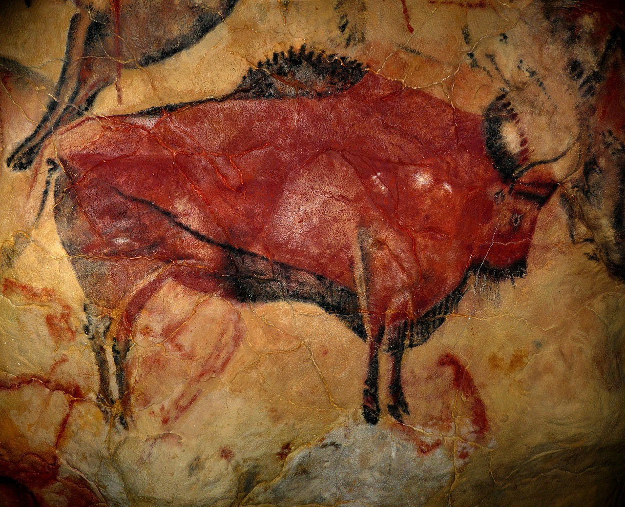 History of art - A cave painting