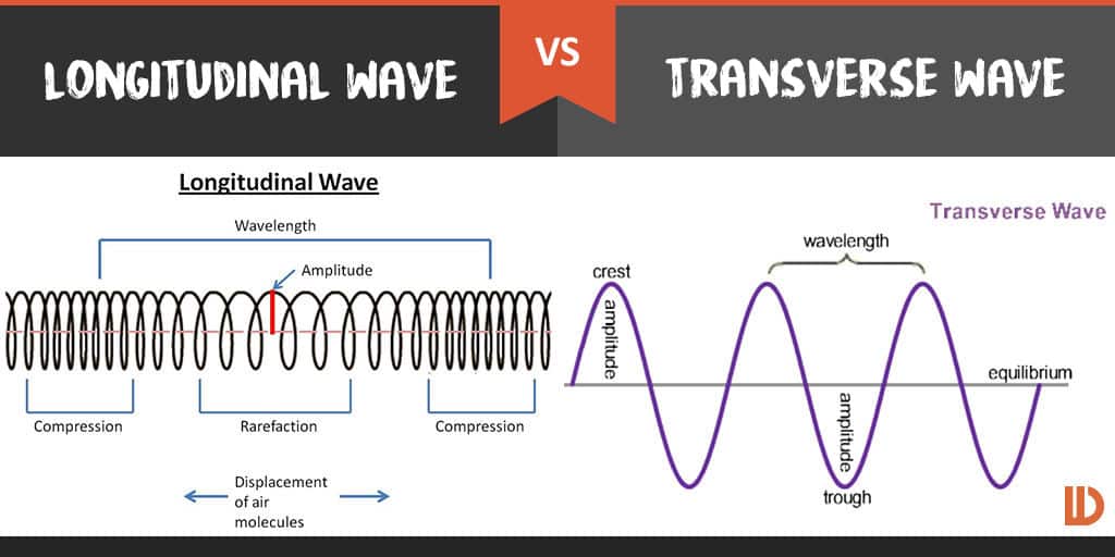 A graphical comparison between a longitudinal wave and a transverse wave