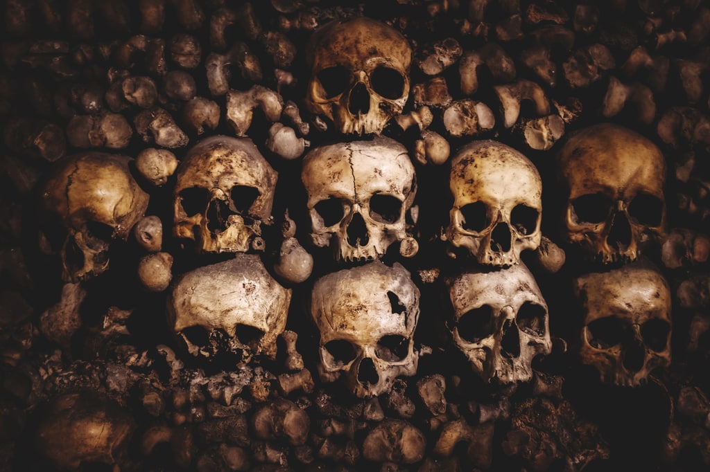 Worst epidemics in history - A picture of skulls and bones
